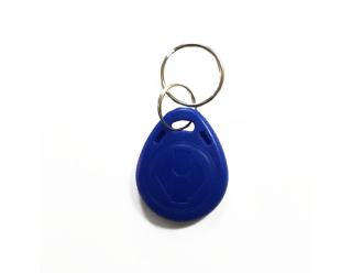 RFID Key Fobs 125KHz, TK4100, EM4100, (10 Pack) - Blue